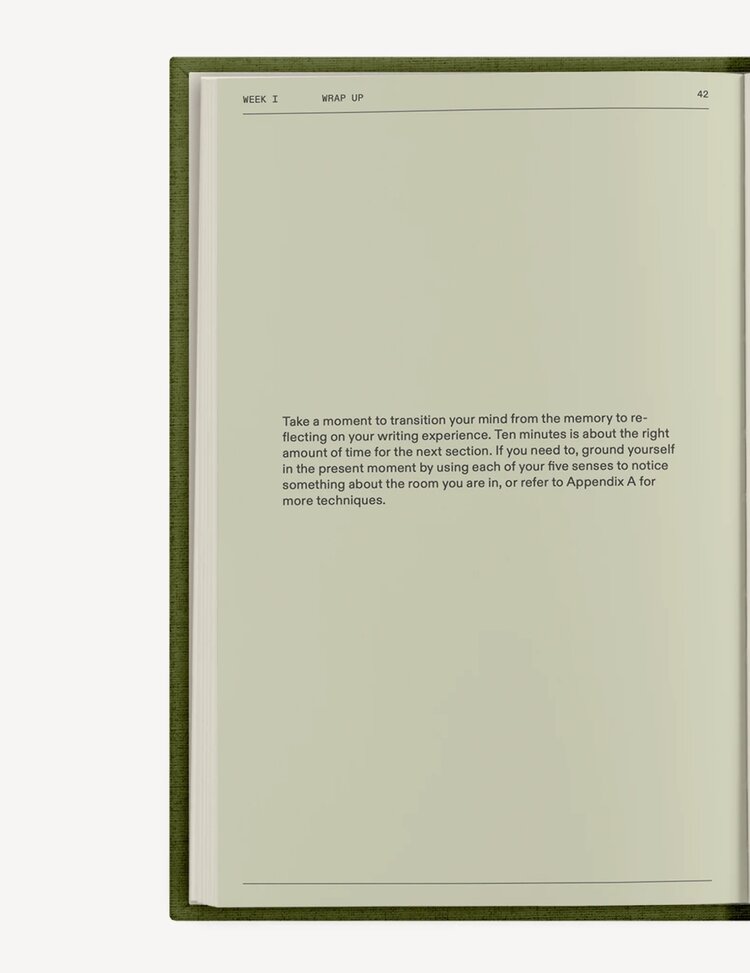 Therapy Notebooks The After-Trauma Notebook