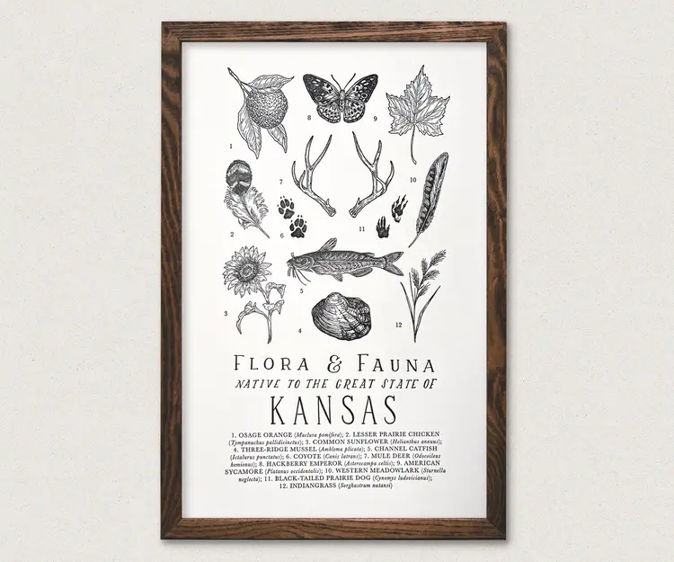 The Wild Wander Kansas Field Guide 11x17 Letterpress Print