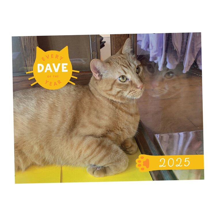 Wonder Fair 2025 Every Dave of the Year Calendar