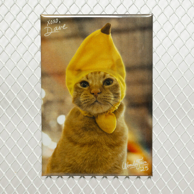 Wonder Fair Dave Magnet 2025  (Banana Dave)