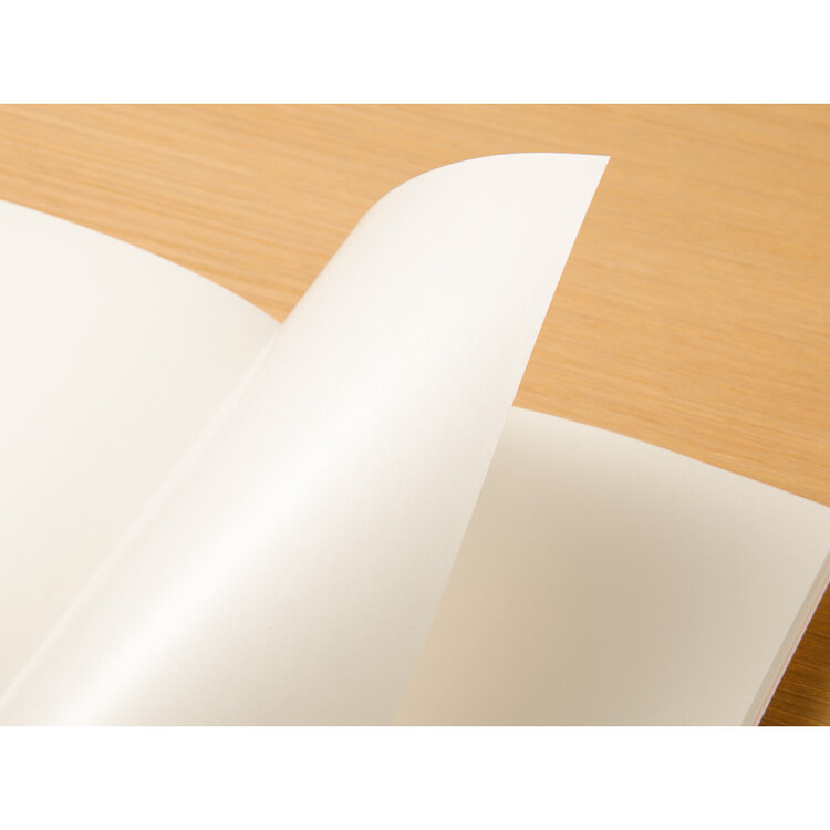 Midori 031 Sticker Release Paper Regular Size Insert - Traveler's Notebook