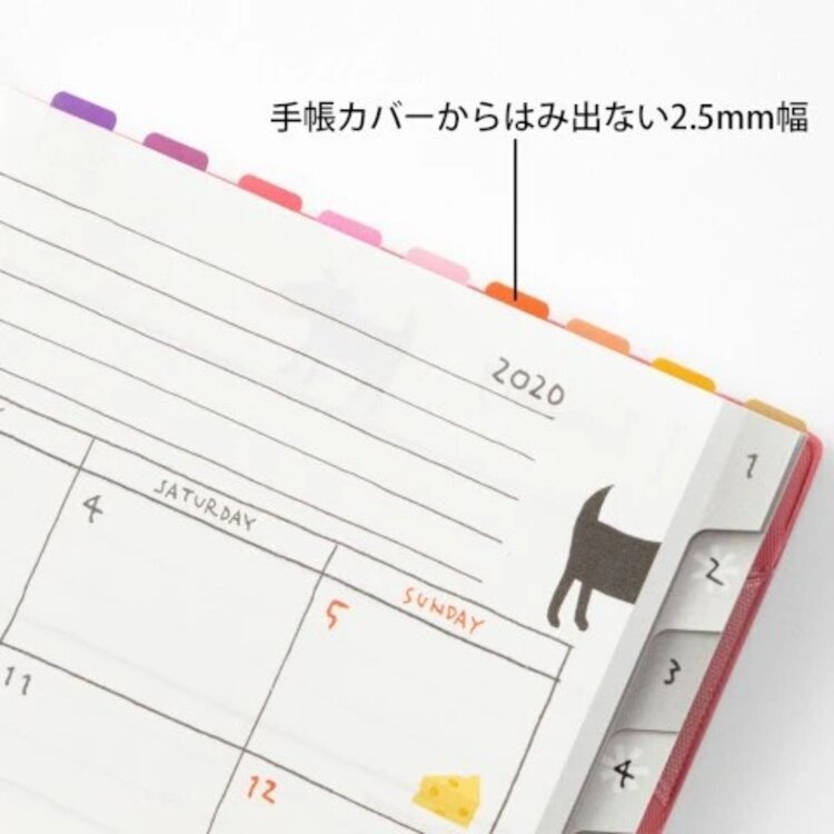 Midori Index Label Chiratto 24 Colors Vivid