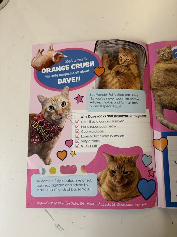 Wonder Fair Orange Crush: Issue 1