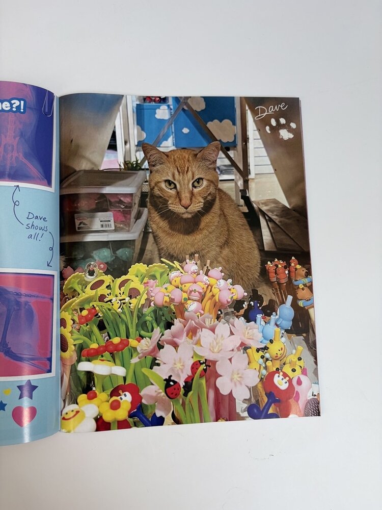 Wonder Fair Orange Crush: Issue 1