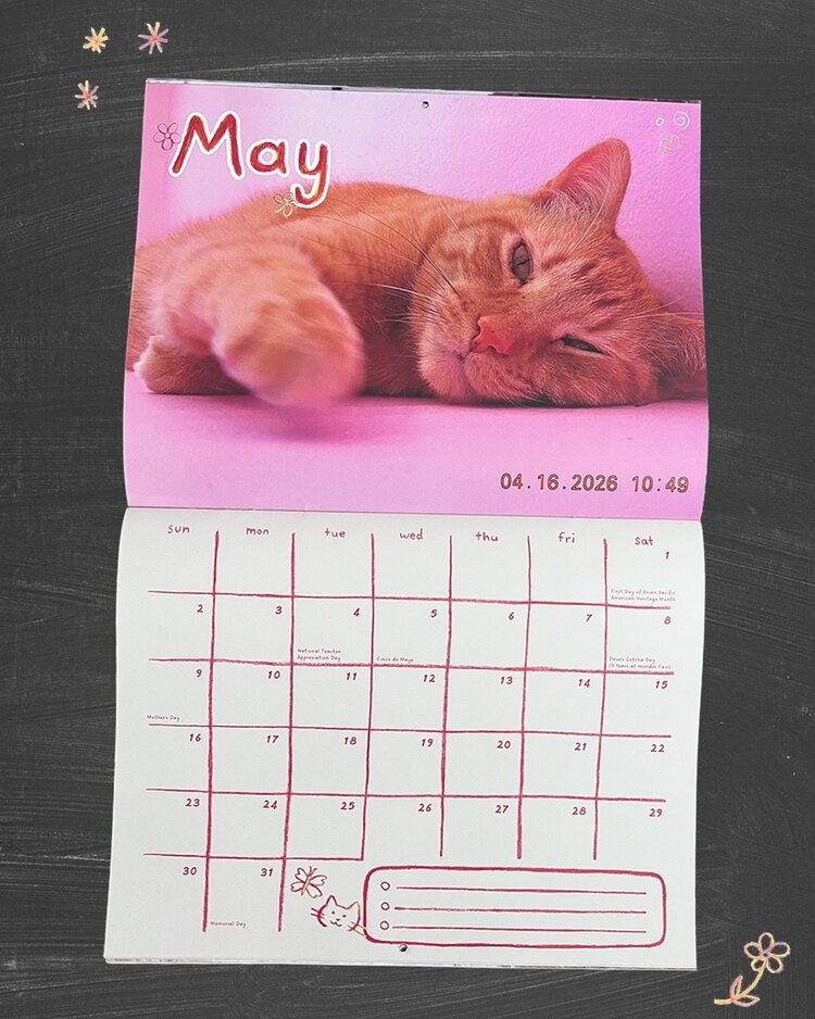 Wonder Fair 2027 Every Dave of the Year Calendar