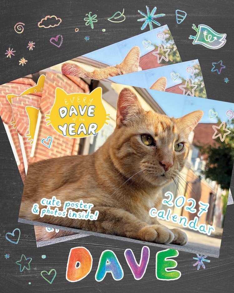 Wonder Fair 2027 Every Dave of the Year Calendar