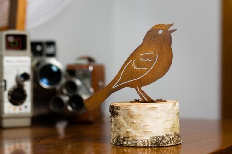 Rusty Birds Vesper Sparrow