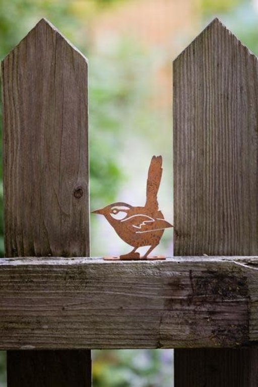 Rusty Birds House Wren