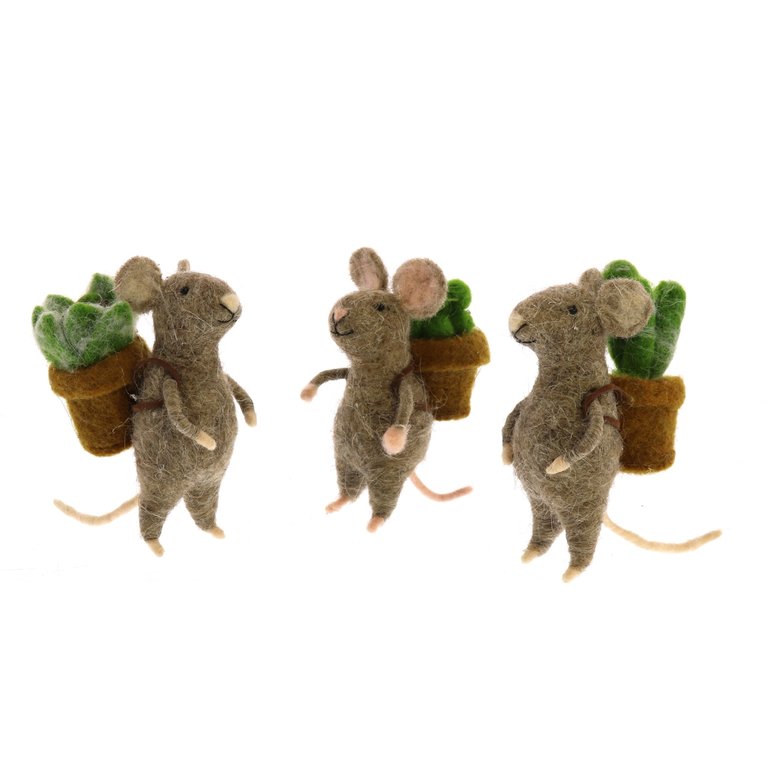HomArt Mice with Succulents