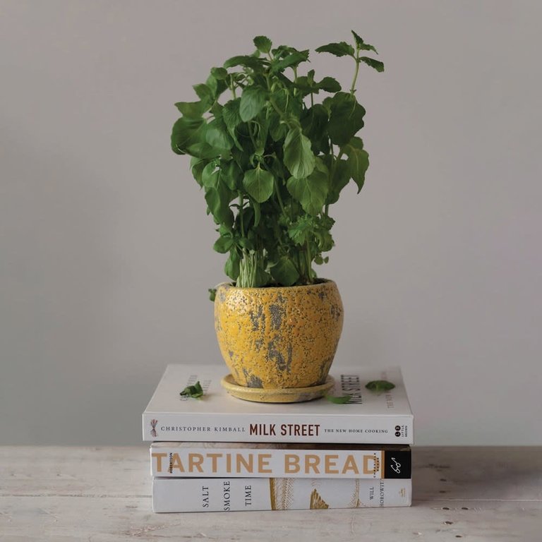 Creative Co-op Terracotta Yellow Planter