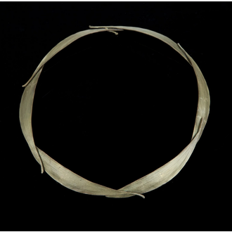 Michael Michaud Michael Michaud 7593BZ Eucalyptus Collar