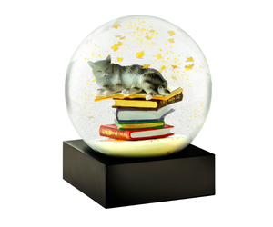 cool-snow-globes-