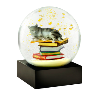 Cool Snow Globes Cat on Books Snow Globe