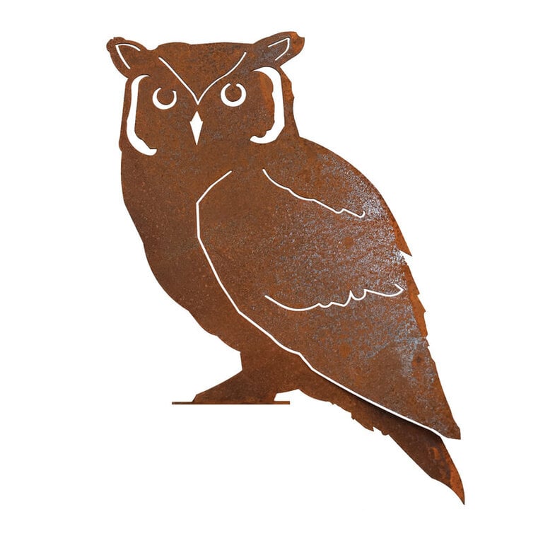 Rusty Birds Screech Owl