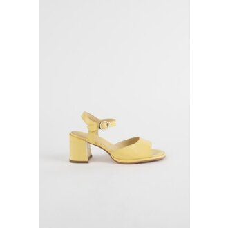 Intentionally Blank ASTRO Intentionally Blank ASTRO