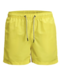 Aruba Swim Shorts