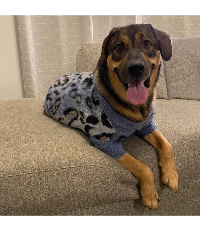 Premium Dog Sweaters