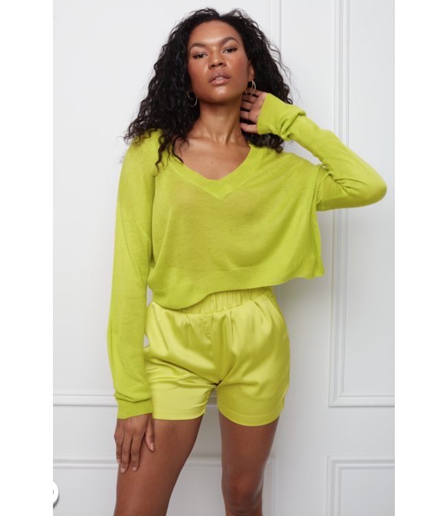 RD International RD Style Nicky Long Sleeve V-Neck Pullover in Sunny Lime