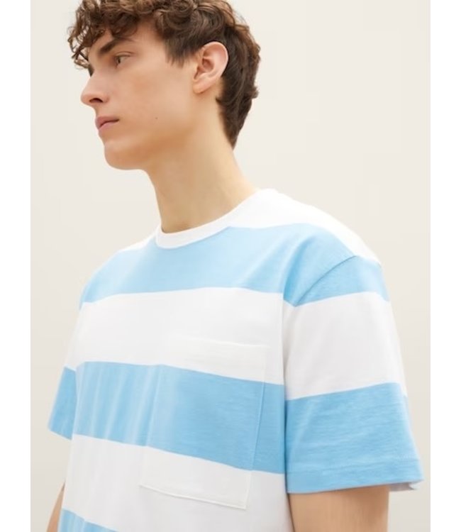 TOM TAILOR Blue Large striped T-Shirt