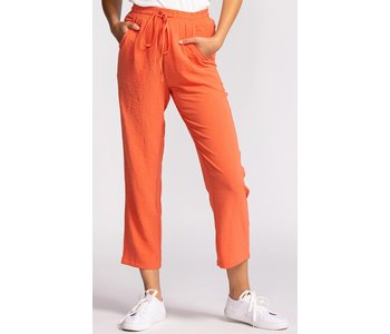 Pink Martini Crawford Pants Orange