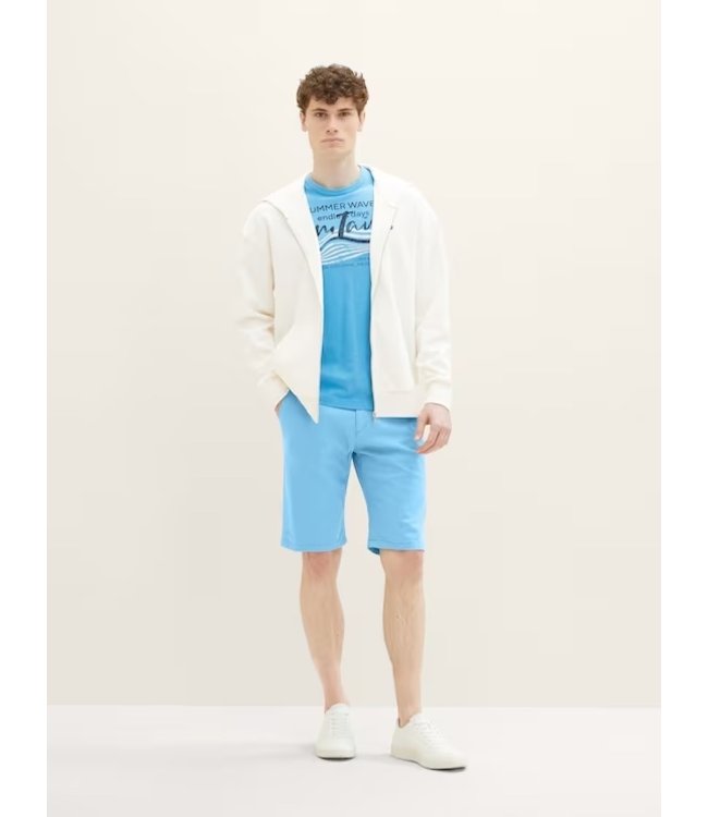 TOM TAILOR Chino Shorts in Bermuda Length