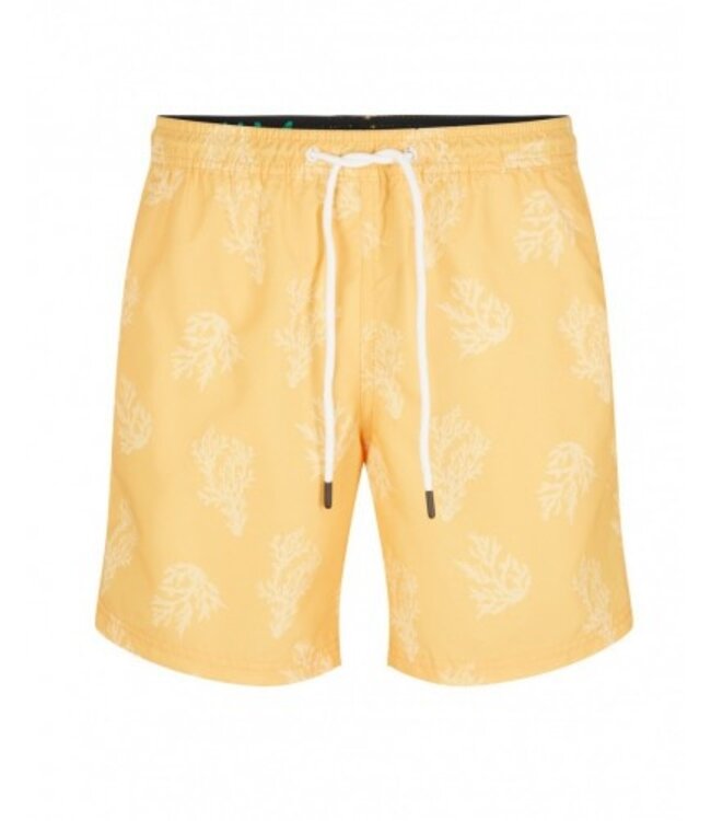 TOM TAILOR swim shorts