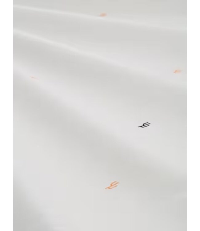 TOM TAILOR Short-sleeved shirt with a kent collar