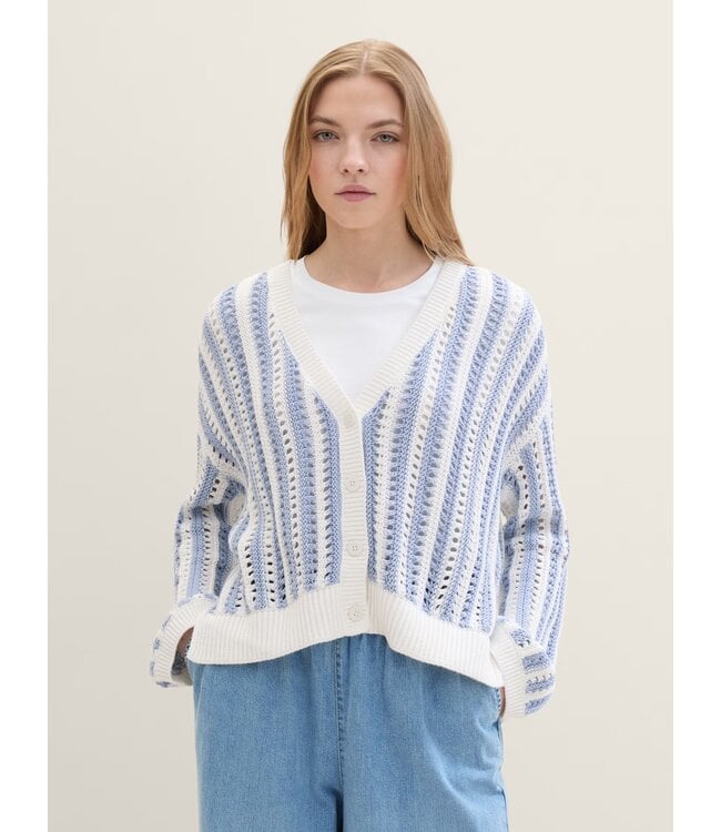 TOM TAILOR Blue and White Striped Cardigan