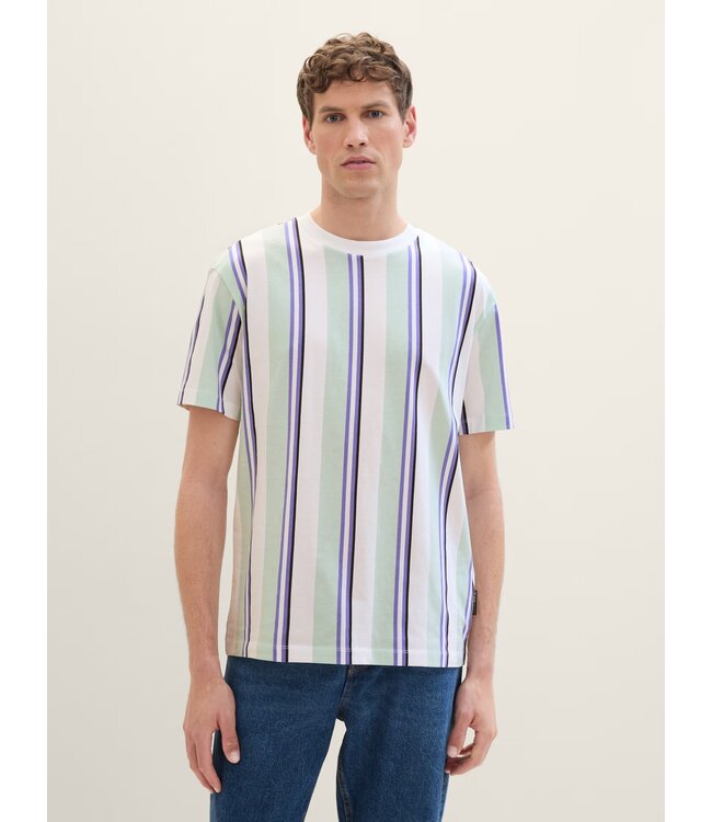 TOM TAILOR Printed striped t-shirt