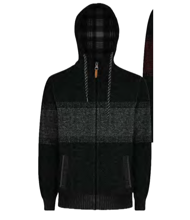 DAV Zip up Hoodie with polar fleece lining
