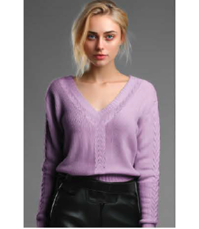 POINT ZERO V Neck Cable Knit Sweater