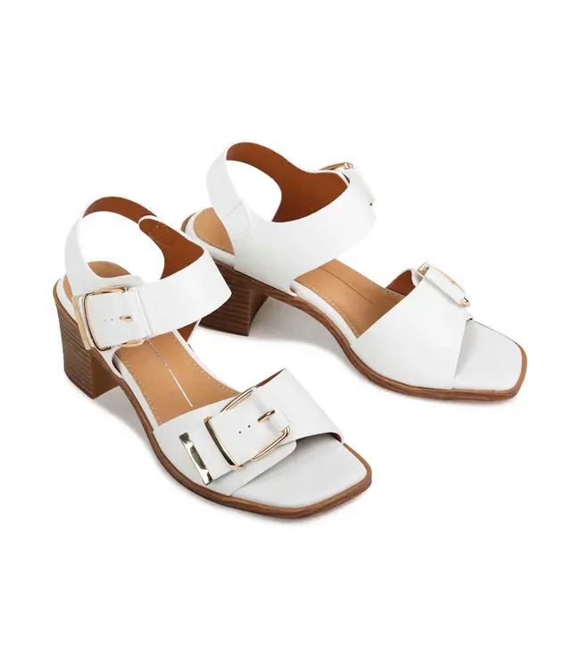 LOS CABOS JAZZI HEELED SANDALS