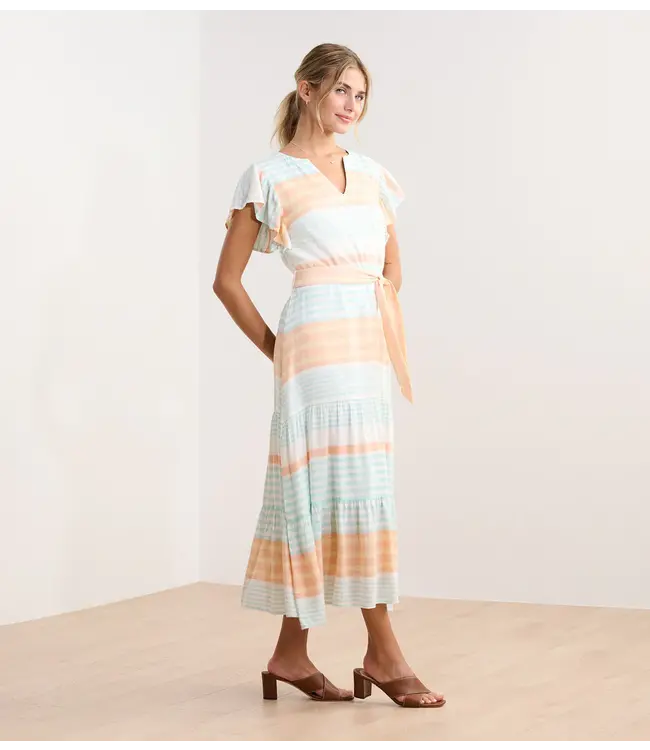 Hatley Hailey dress echo stripes