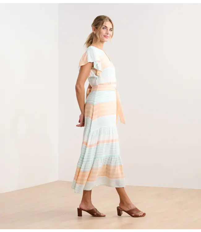 Hatley Hailey dress echo stripes