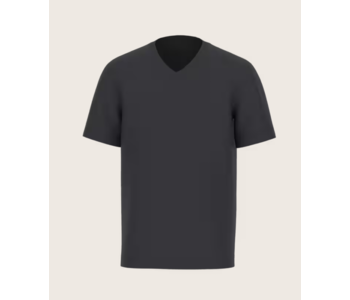 set of 2  100% Cotton V Neck T-shirt in double pack