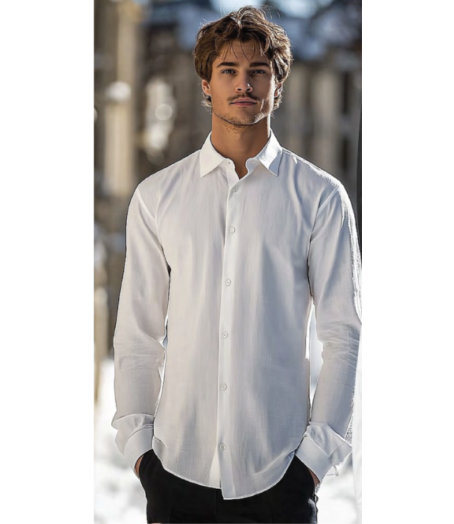 Point Zero Easy Care Solid Colour Dress Shirt