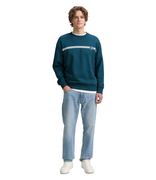 Tom Tailor printed crewneck sweater