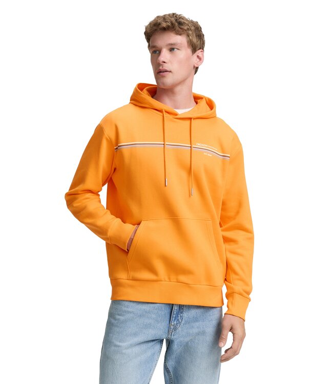 Tom Tailor Hoodie sweatshirt with logo print