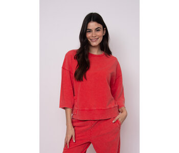 RD Style BRIE FRENCH TERRY TOP CHERRY