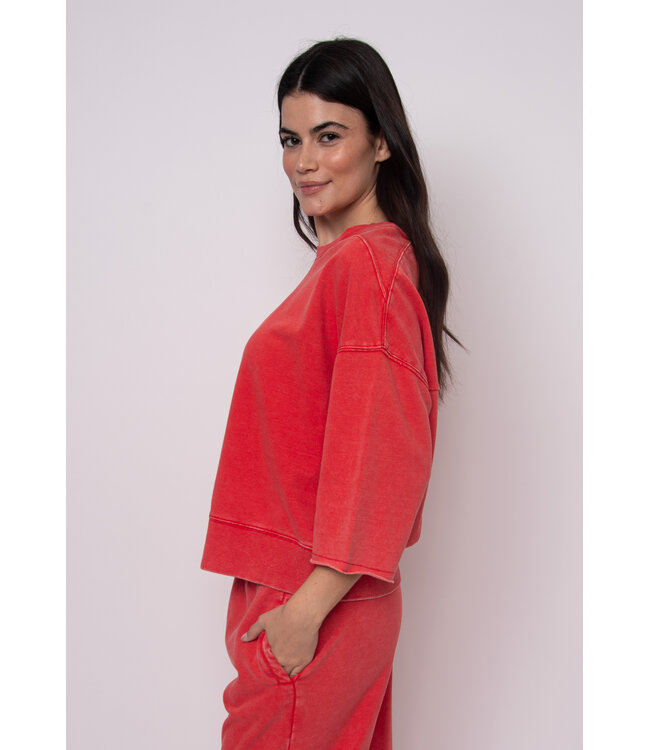 RD Style BRIE FRENCH TERRY TOP CHERRY