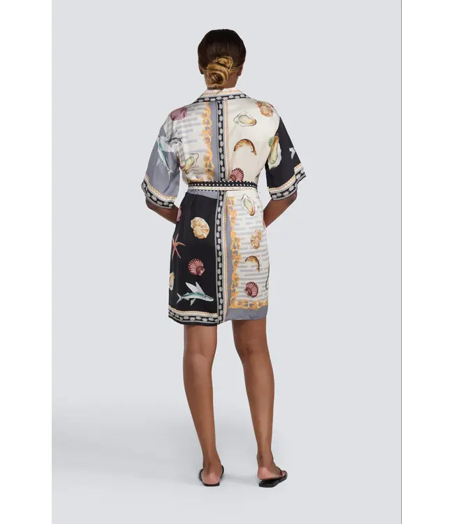 Jessica Laura Button Up Shirt Dress with Collar & Belt
