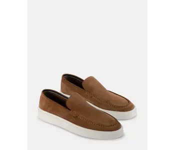 Steve Madden Ashtinn  Suede