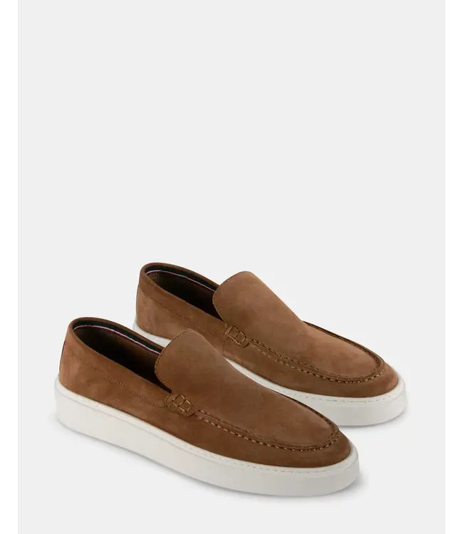 Steve Madden Ashtinn  Suede
