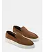 STEVE MADDEN Steve Madden Ashtinn  Suede
