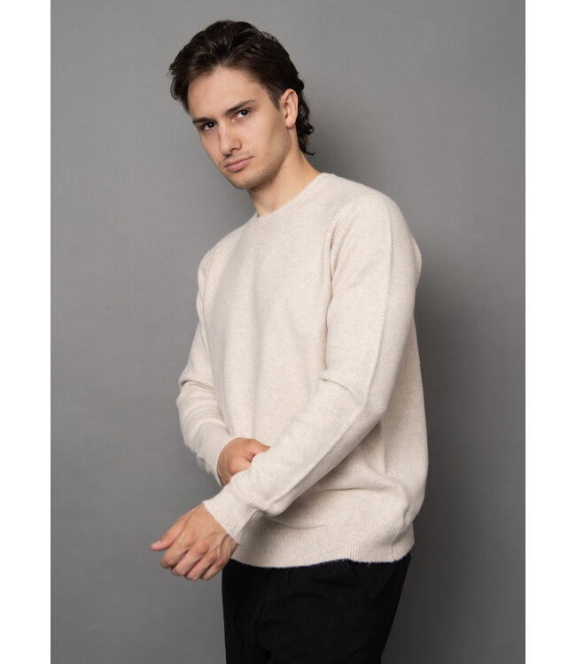Hedge Mens Long Sleeve Crew Neck Sweater