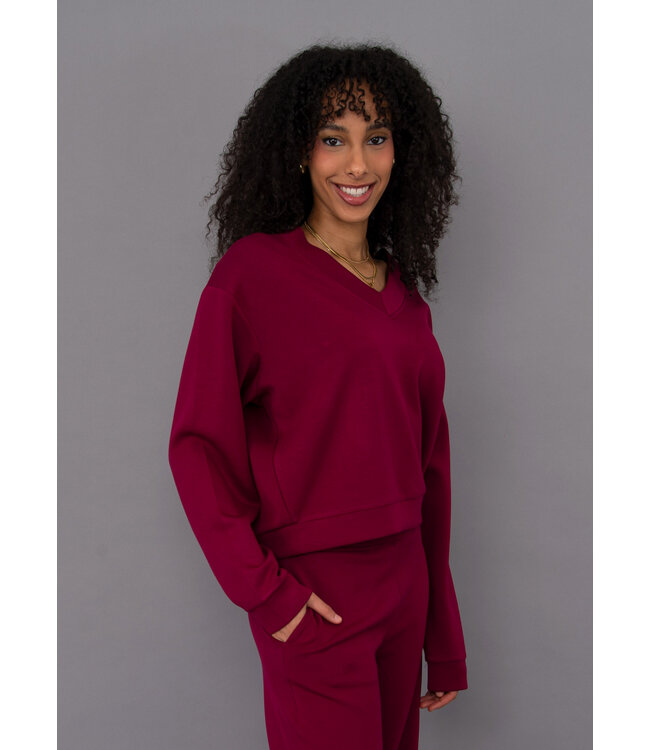 RD Style Signature Soft Knit V-Neck Pullover Cranberry