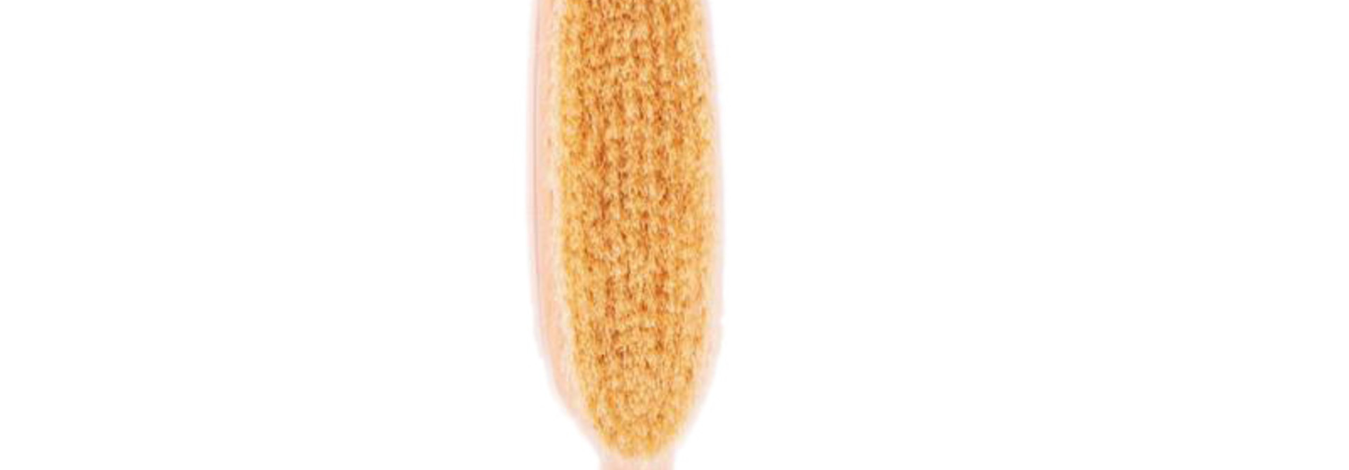 Belle de Provence - Large Tree Brush