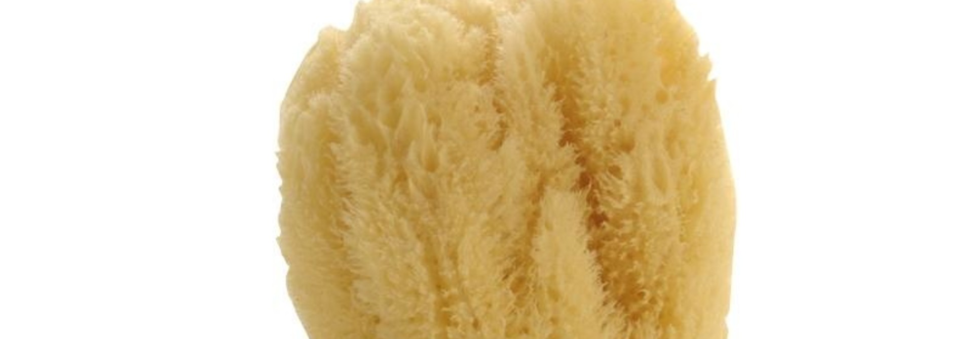 Natural Sea Sponge - Large