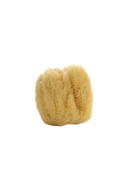 Natural Sea Sponge - Large