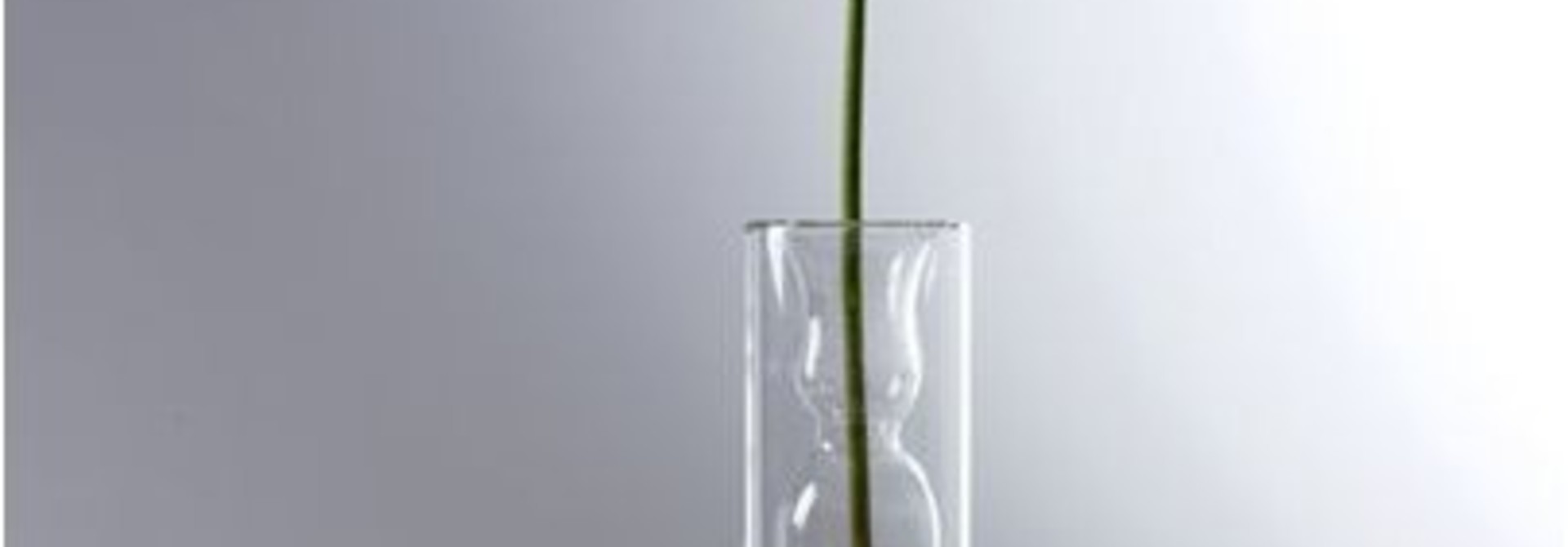 16" Slim Deco Glass Vase